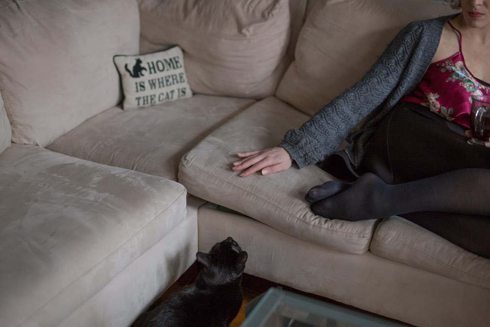 cat wants to jump on couch
