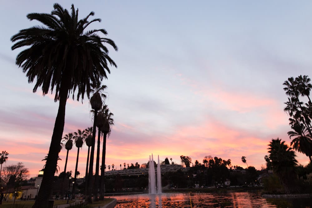 palm tree silhouette California