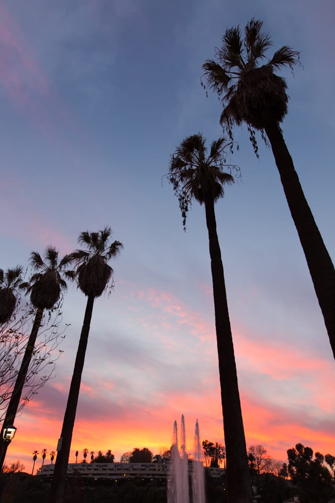 sunset Echo Park L.A. California