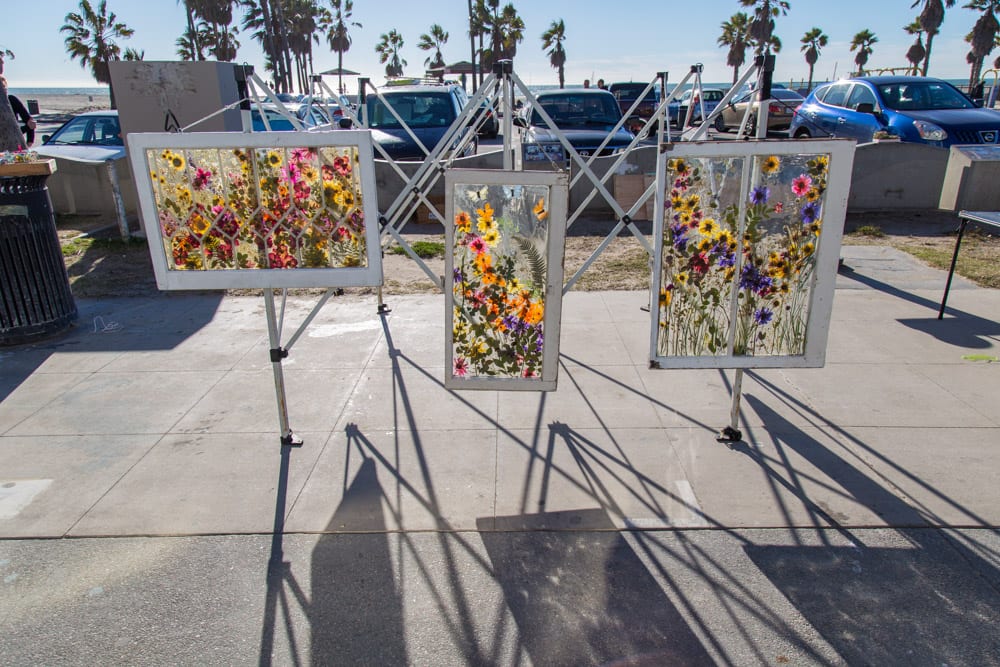 yes real flowers Venice Beach L.A.
