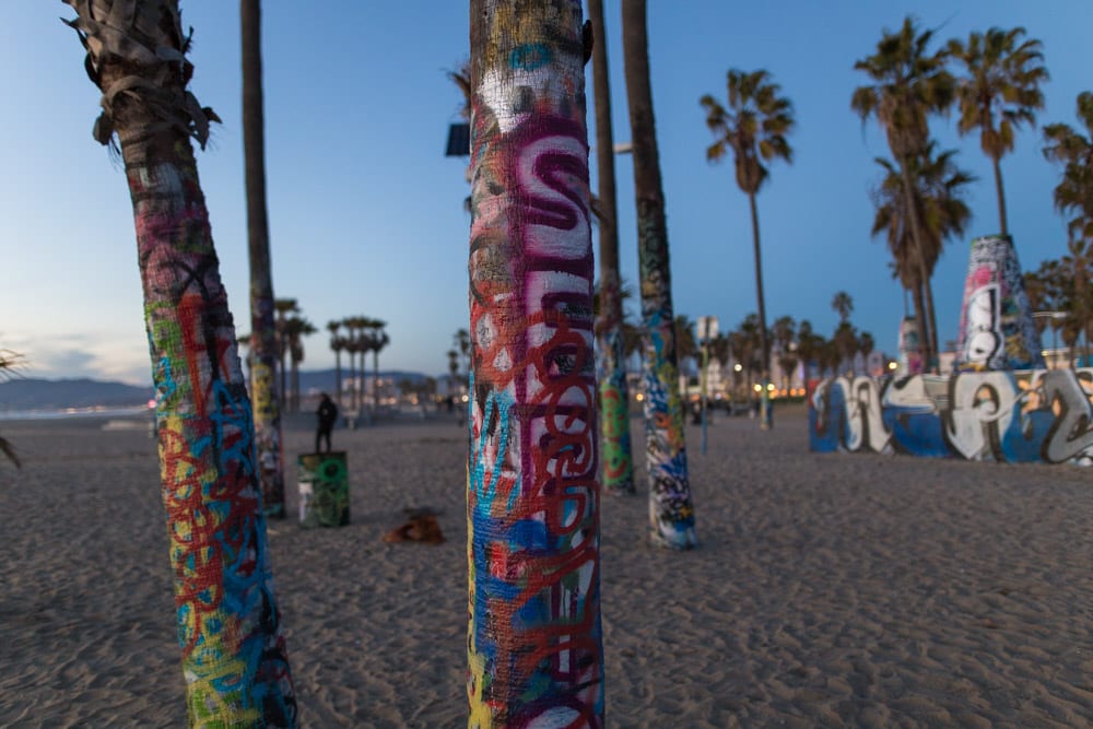 Venice Beach L.A. graffiti tree