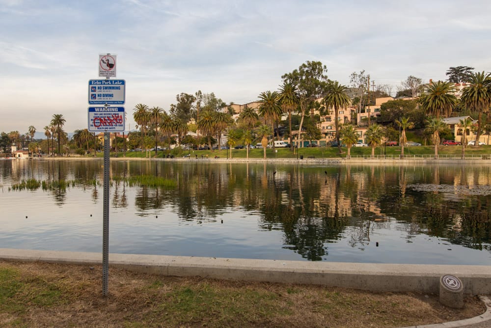 afternoon Echo Park lake