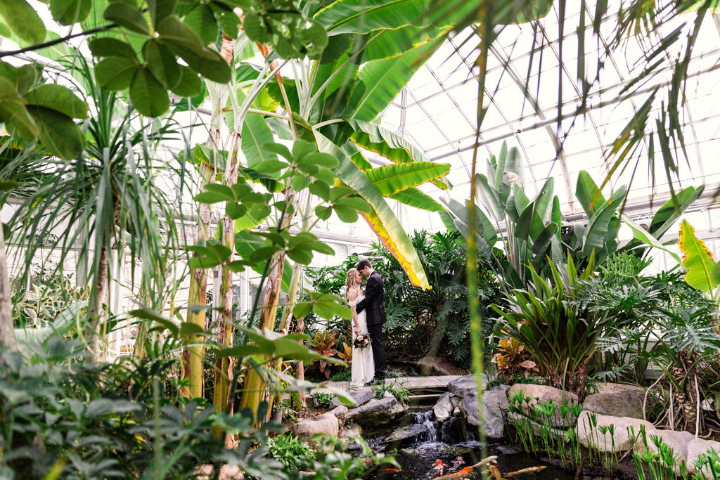 Romantic photo of bride and groom through palm trees at their Joliet Birdhaven Greenhouse wedding