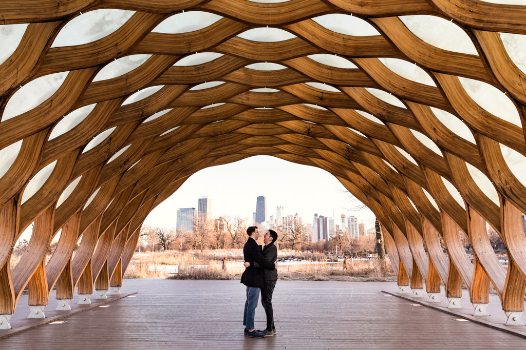 How to Propose at Lincoln Park Honeycomb Chicago — Caleb