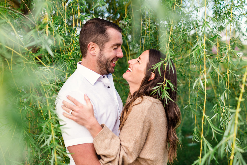 Cantigny engagement photo of couple with Willow Tree in golden hour light