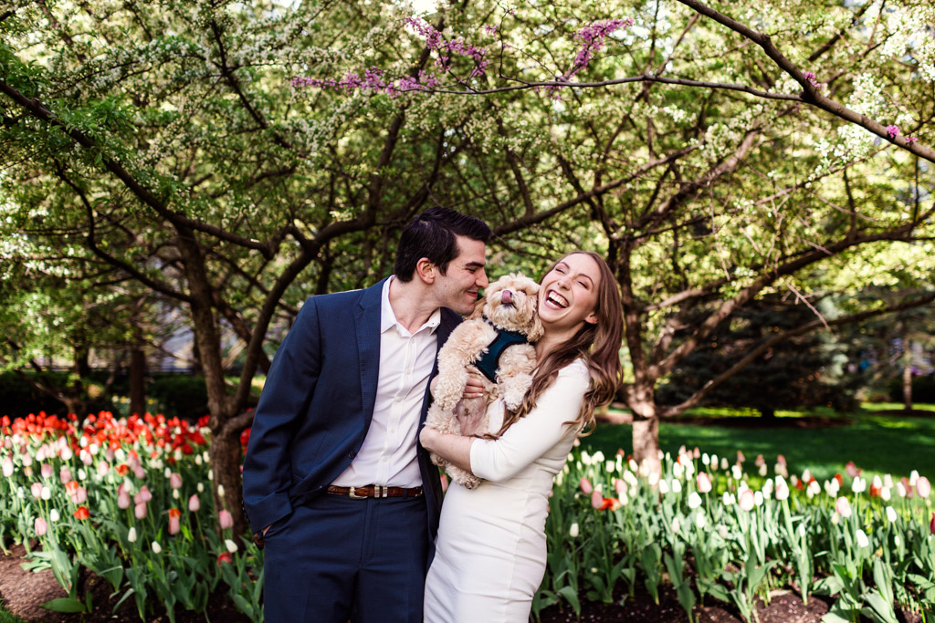 Local couple gets puppy kisses in spring garden during their downtown Chicago engagement session