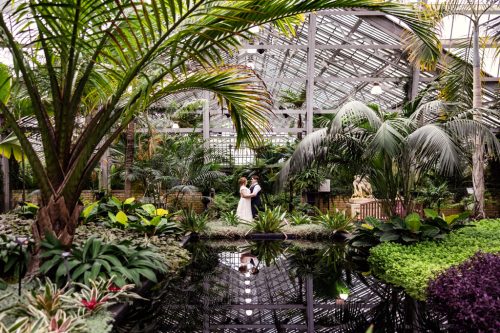 Romantic Garfield Park Conservatory wedding photo in Palm House