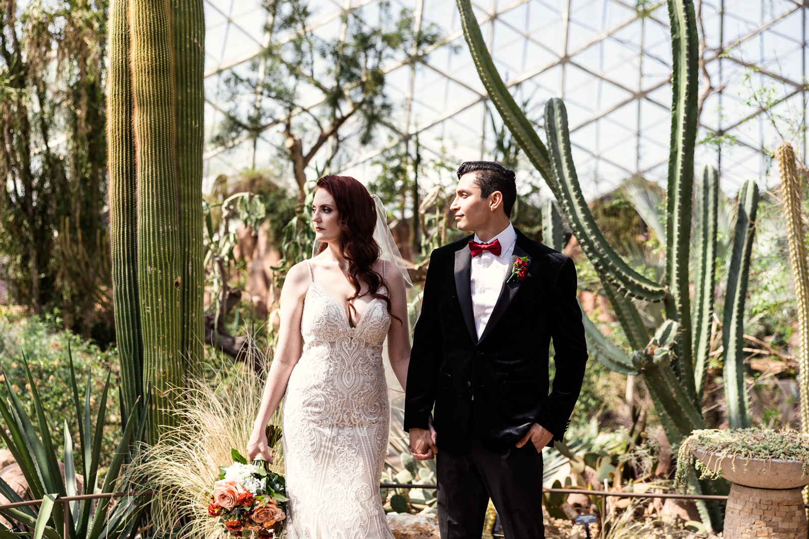 Editorial photo of Milwaukee bride and groom surrounded by cacti in the Desert House at Mitchell Park Domes by documentary wedding photographer Emma Mullins Photography