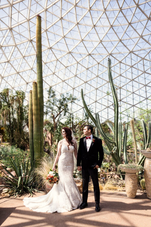 Stylized photo of bride and groom holding hands inside Desert Dome at Mitchell Park Domes Milwaukee wedding venue