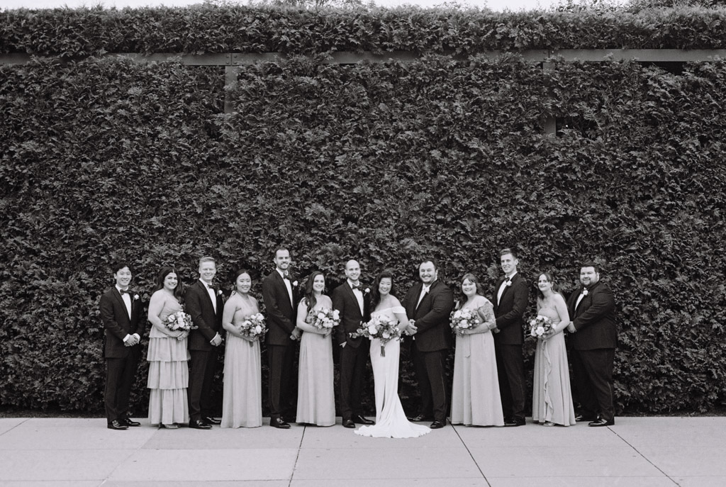 Black and white photo of wedding party in front of evergreen wall at Lurie Garden in downtown Chicago captured on film