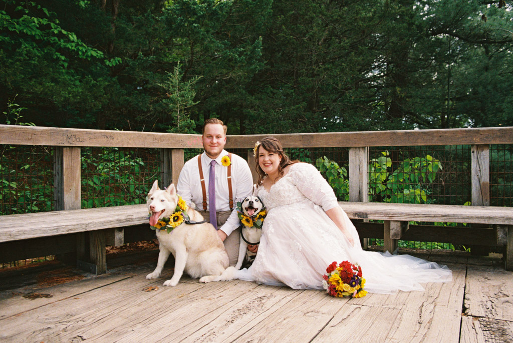 Just married bride and groom smile with their dogs wearing flower crowns after their Starved Rock State Park elopement