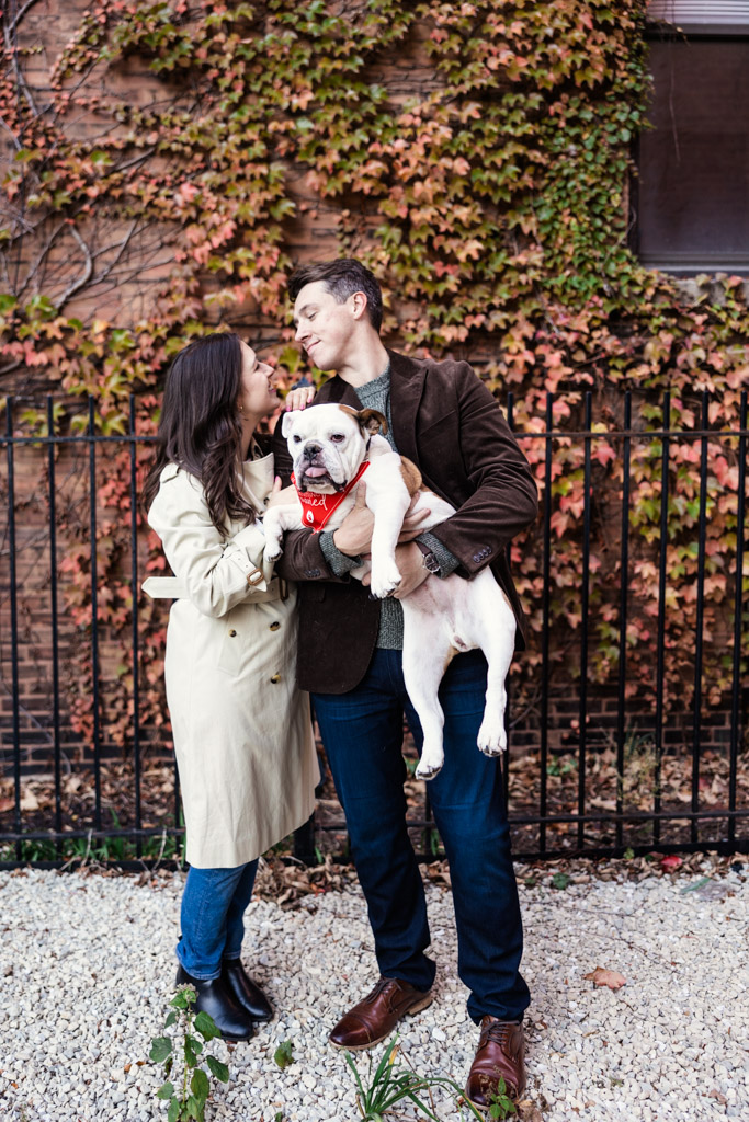 Candid photo of couple holding a bulldog in front of a wall covered in ivy during Lincoln Park fall engagement session