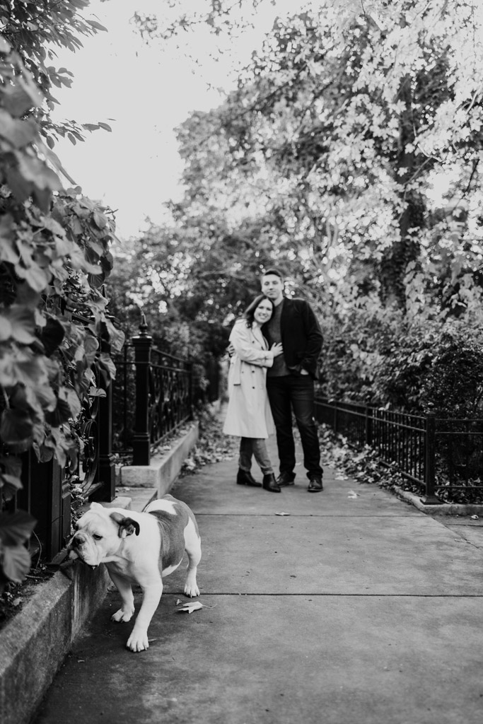 Black and white photo of couple on a tree-lined path with their bulldog Sadie strolling in the foreground