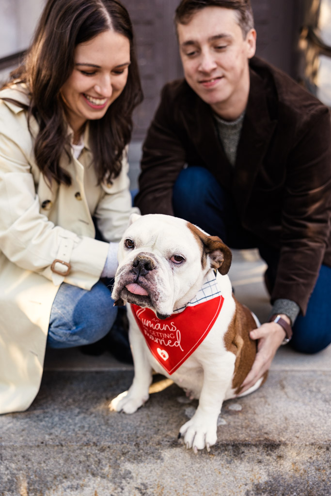 Engaged couple smiles at their bulldog Sadie wearing a red bandana