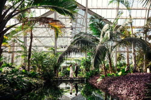 A couple stands by a reflective pond in a lush greenhouse with tall tropical plants and sunlight streaming in.
