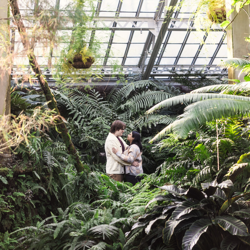 Romantic engagement photo of couple in fern room at Garfield Park Conservatory