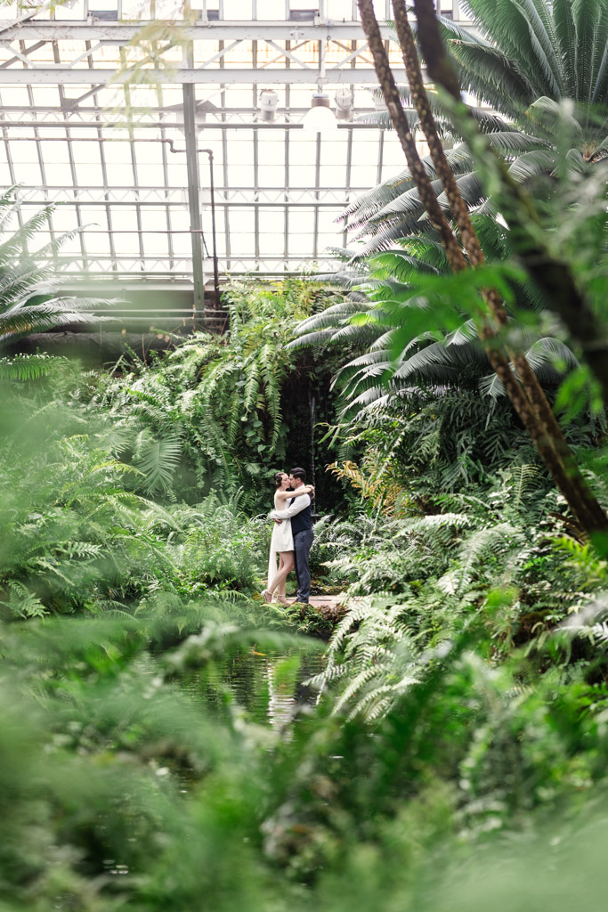 Engaged couple kisses surrounded by ferns and other tropical plants in Garfield Park Conservatory's Fern Room