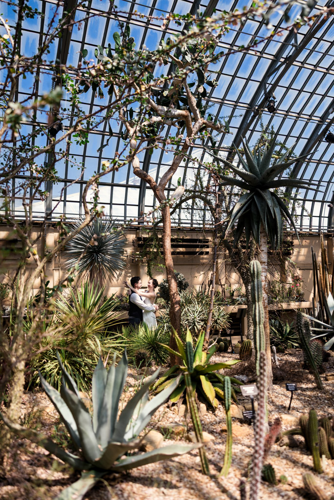 Couple holds each other inside the sunlit Desert Room filled with various cacti and desert plants during their Garfield Park Conservatory engagement session
