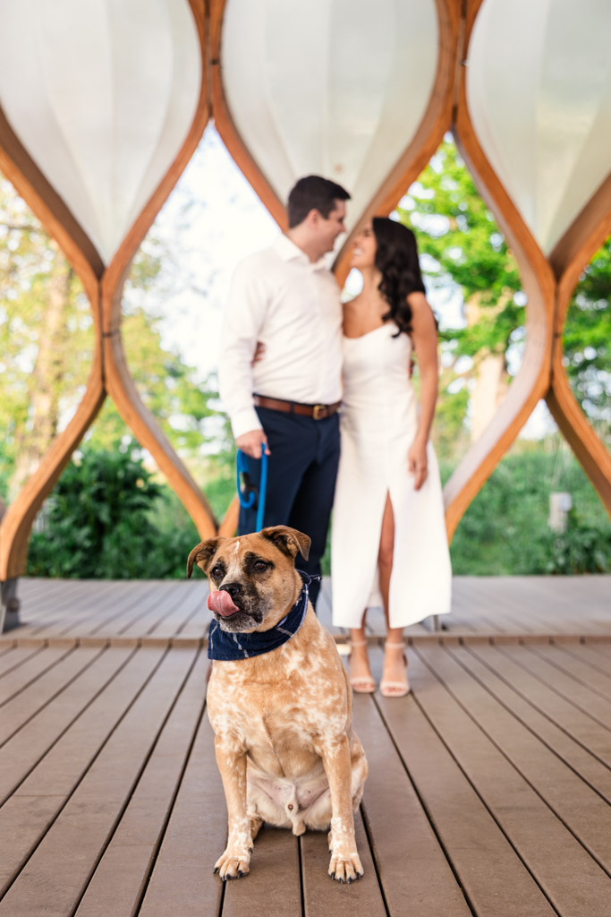 A dog sits in front while a couple stands behind, looking at each other under the Honeycomb in Lincoln Park during their spring engagement session