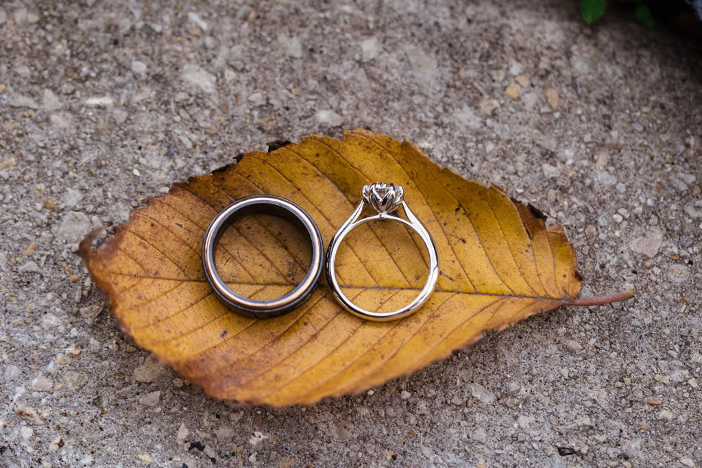 Two engagement rings rest on a yellow-brown leaf atop a rough concrete surface