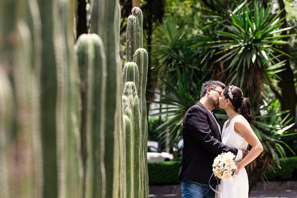 Newlyweds kiss near a row of cacti outside Museo Casa Estudio Diego Rivera y Frida Kahlo in Mexico City