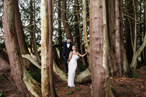 A bride and groom pose among tall, curved tree trunks in a forest setting, capturing the enchanting atmosphere of a Markree Castle wedding.