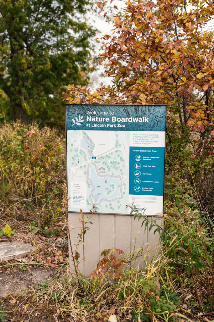 Informational sign for Nature Boardwalk at Lincoln Park Zoo, surrounded by autumn foliage and plants, located near the Cafe Brauer wedding venue