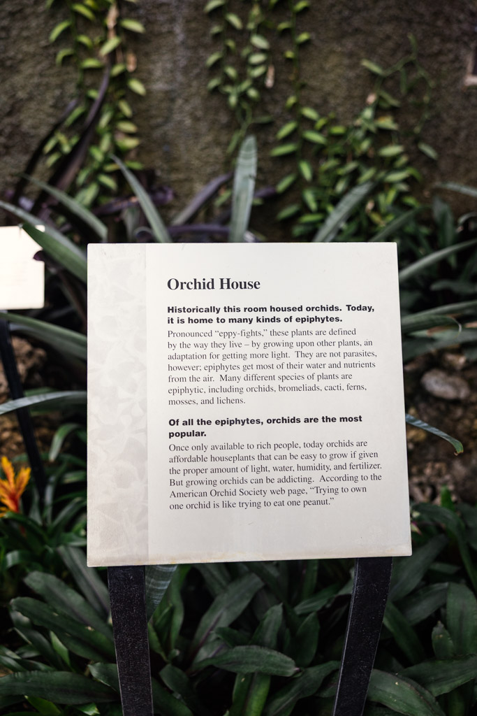Informational sign about the Orchid House stands among green plants at the Lincoln Park Conservatory