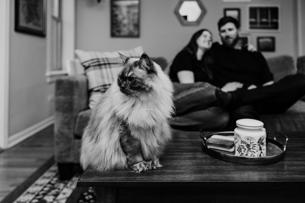 Black and white photo of a fluffy cat sitting on a coffee table, with engaged couple hugging on a couch in the blurred background