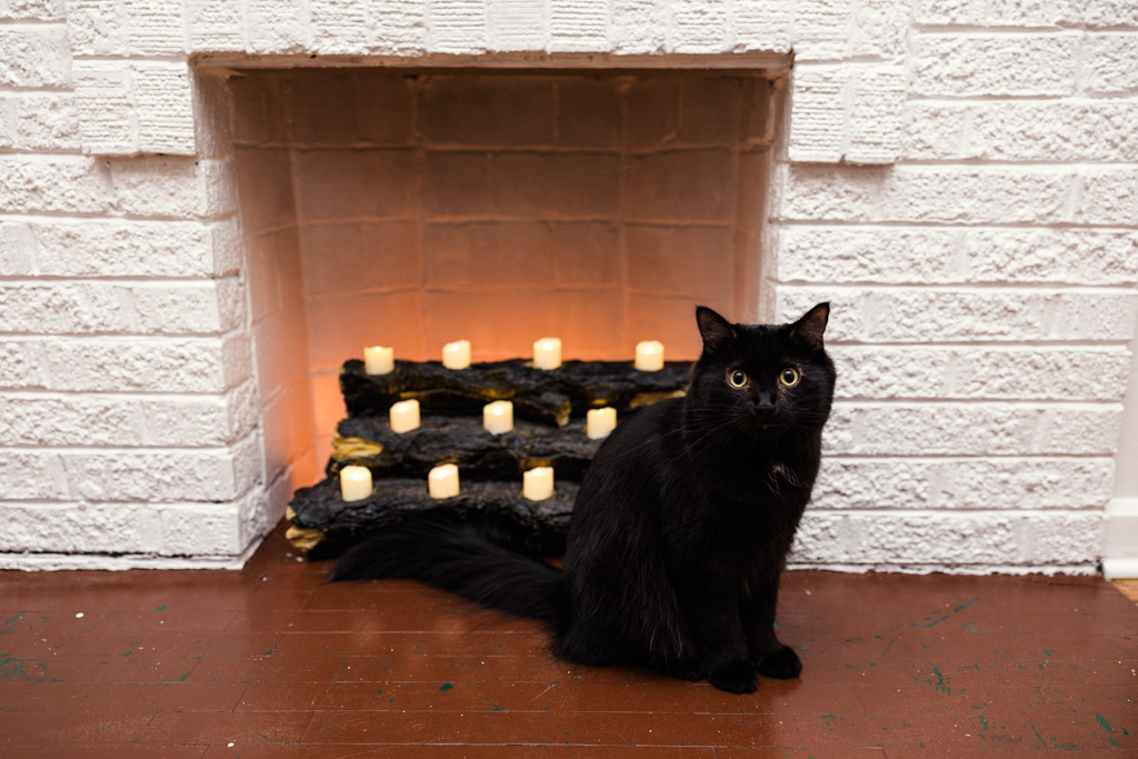 A black cat sits in front of a white brick fireplace with small candles glowing inside