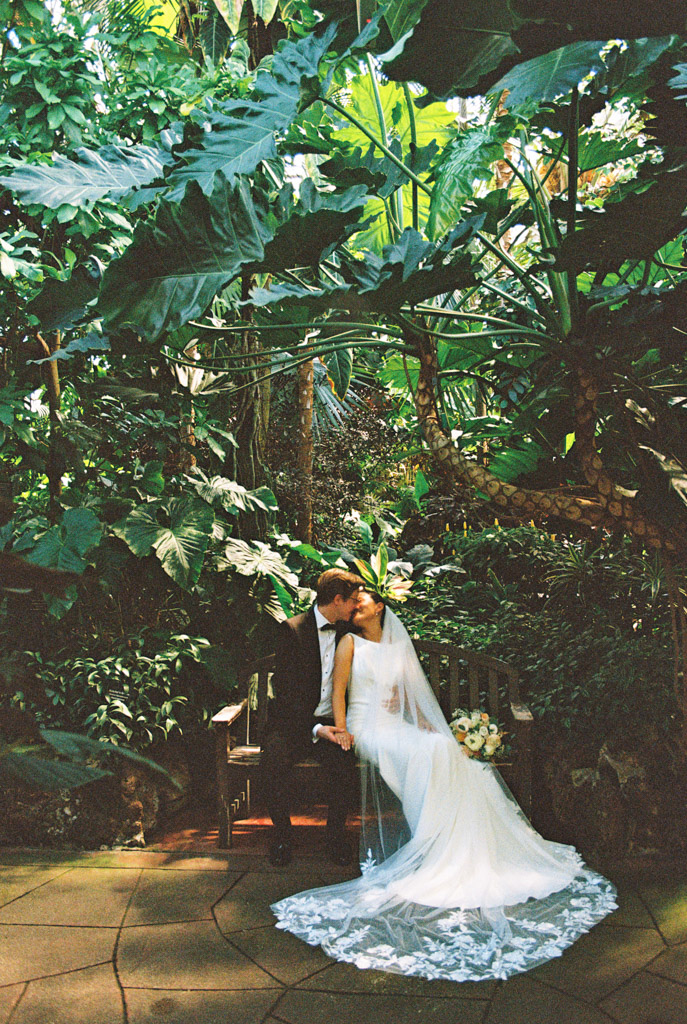 Film photo of bride and groom kissing while sittting closely on a bench at Lincoln Park Conservatory surrounded by lush tropical plants