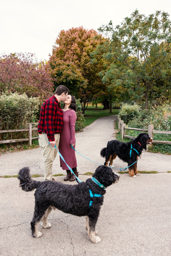 Engaged couple shares a kiss on a Winnemac Park path, holding leashes of two large dogs amid autumn leaves