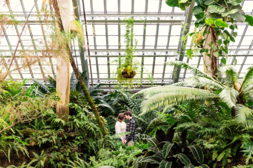 A couple stands close together in a lush greenhouse filled with various green plants and ferns.