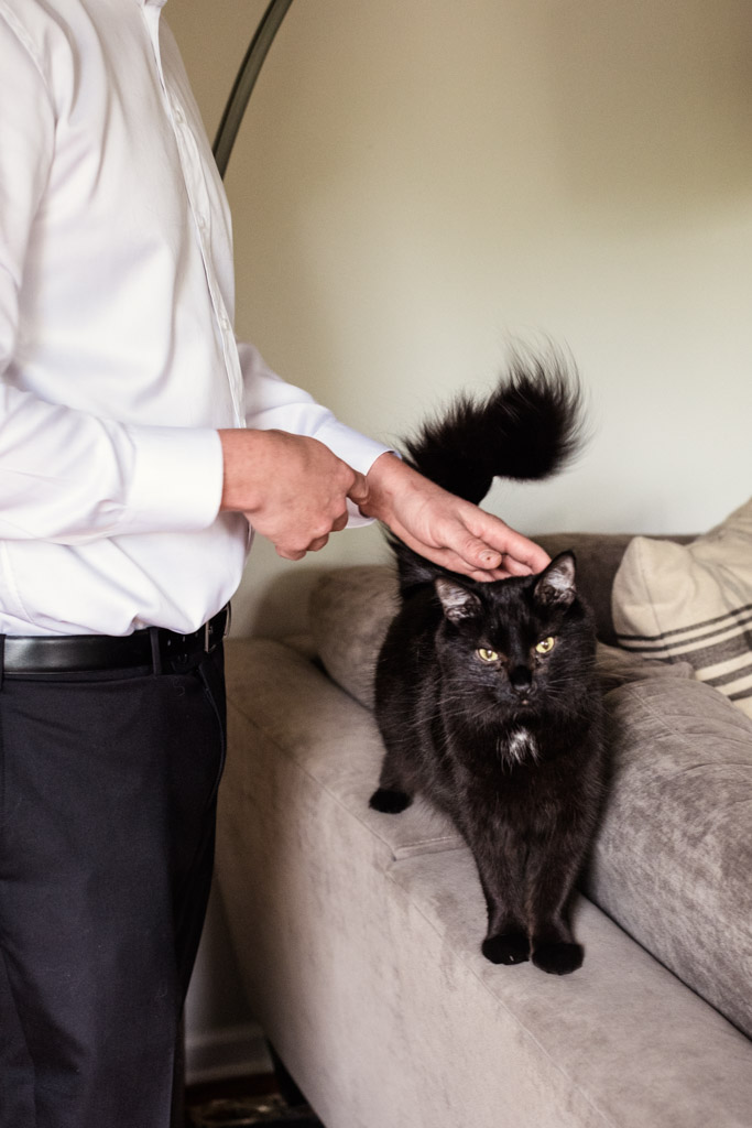 Groom in a white shirt pets a black cat standing on a light-colored couch near patterned pillows while getting read for wedding celebration at River Room