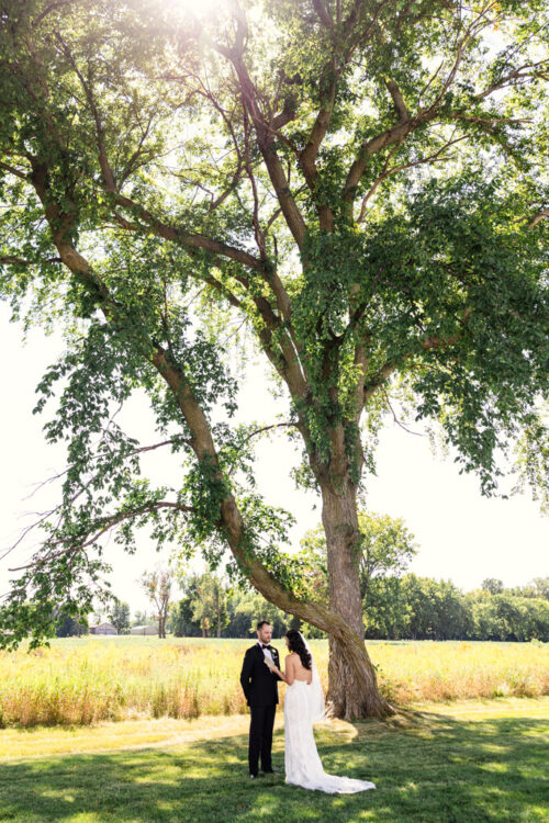 A bride and groom standing together under a large tree in a field.